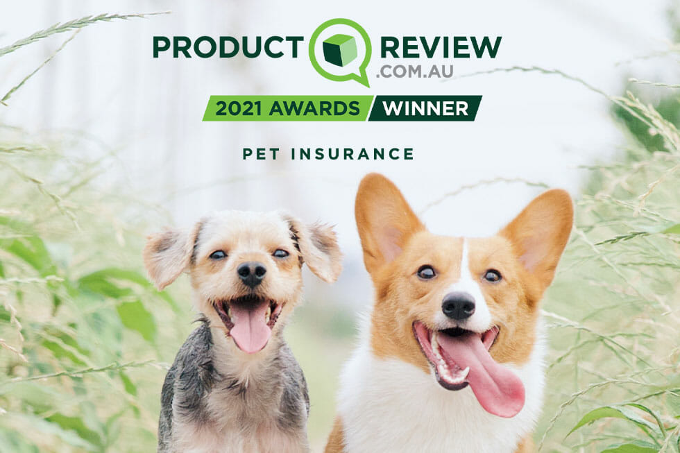 2020 product review awards