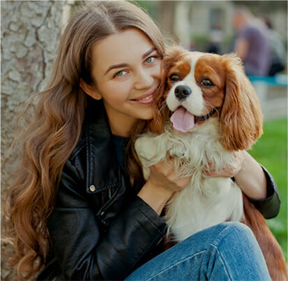 Cavalier king chrles spaniel